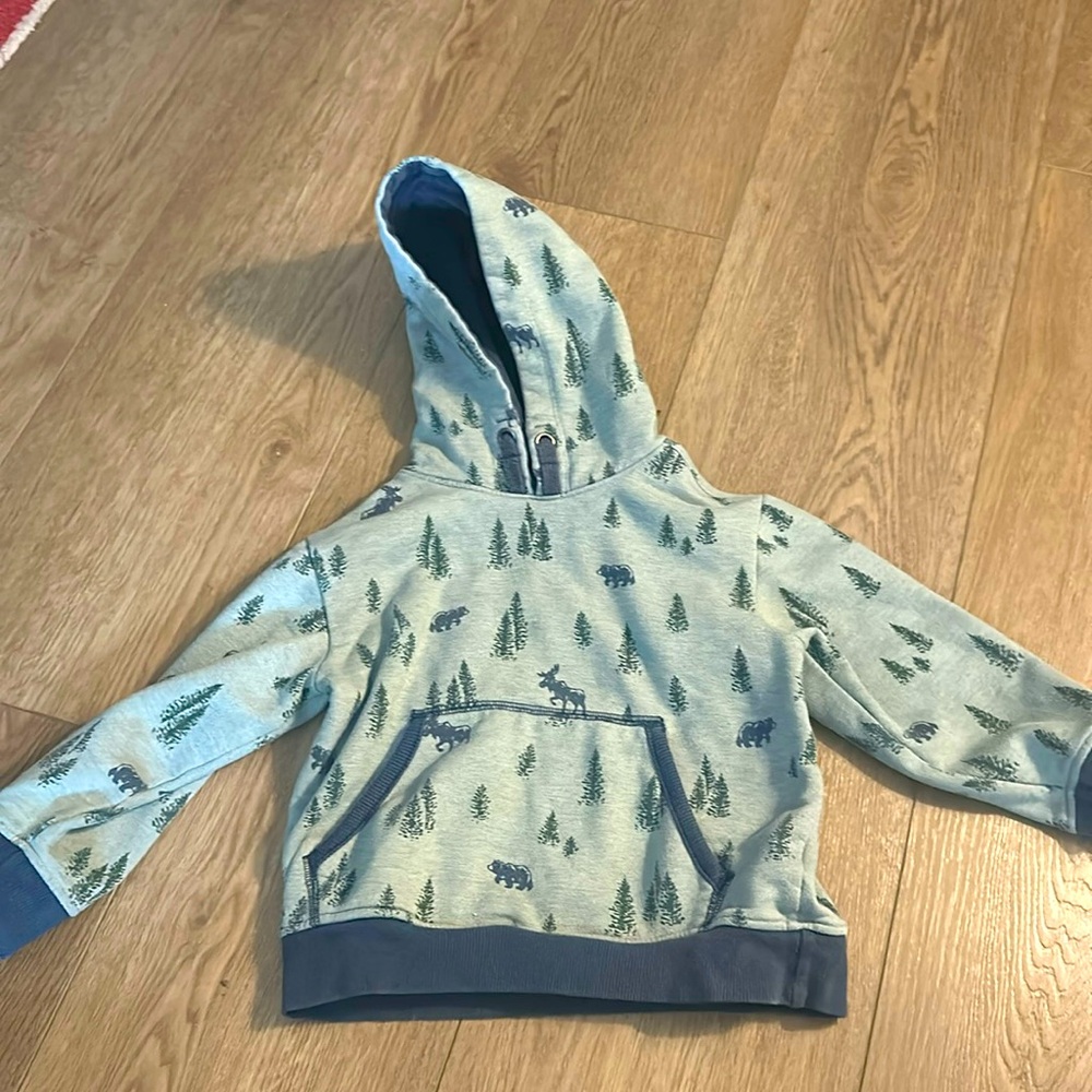 Hatley Sweatshirt